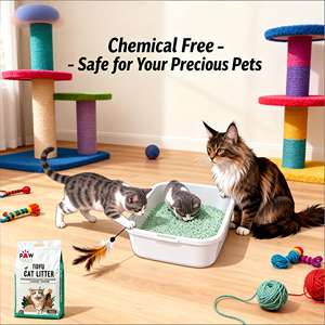 Litière pour chat en tofu, biodégradable, écologique, en bois de pin, amidon de maïs, jetable dans les toilettes, sans blocage, charbon actif, sans poussière - Product Image 1