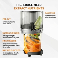 Brenda Electric Slow Pressed Juicer Komersial Mini Portabel Penggiling Buah Dapur dengan Kapasitas 3L Motor DC Ramah Lingkungan