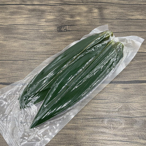 Feuille de <span class=keywords><strong>bambou</strong></span> séchée entière naturelle verte séchée crue de qualité supérieure n divers <span class=keywords><strong>bambou</strong></span> pour les décorations de sushi - Product Image 4