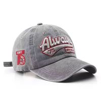 Casquette de baseball 6 panneaux en coton lavé respirant unisexe, casquette de sport avec logo personnalisé
