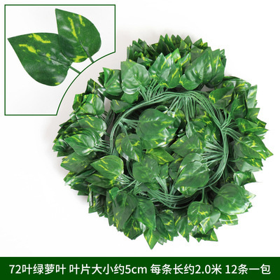 72 pothos leaves (12 leaves)