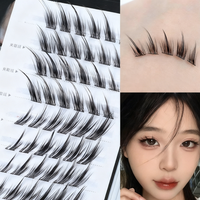 Cils synthétiques faits main style Fox, effet ailé diagonale exagéré, queue allongée, tige noire ultra-fine, européens et américains