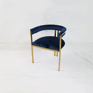 2024 New Design Comfortable Living Room Fabric Leisure Round Backrest Blue Gold Metal Chair