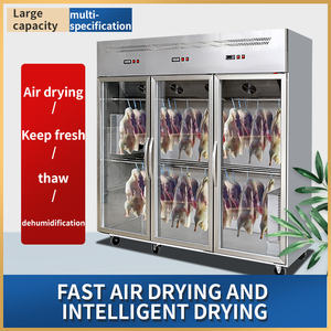 Armoire <span class=keywords><strong>de</strong></span> séchage à air pour <span class=keywords><strong>canard</strong></span> à usage commercial avec refroidissement par air, contrôle numérique intelligent, équipement <span class=keywords><strong>de</strong></span> réfrigération pour <span class=keywords><strong>canard</strong></span> rôti et viandes - Product Image 5