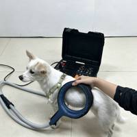 Appareil de massage corporel portable certifié CE avec anneau magnétique, machine de relaxation musculaire, machine de massage PEMF pour clinique vétérinaire