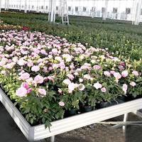 Banc de culture mobile OEM en ABS pour serres, idéal pour la culture de légumes et de semis de fleurs