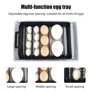 <span class=keywords><strong>2026</strong></span> डिजिटल तापमान नियंत्रण 15 अंडे चिकन पोल्ट्री अंडे इनक्यूबेटर - Product Image 3