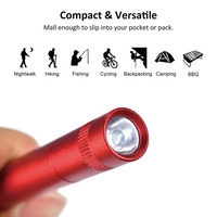 Lampes de barbecue en plein air, vente en gros, Portable, Camping, Mini LED, Flash, lampe de poche ED