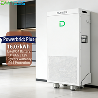 Batterie de stockage d'énergie Dyness PowerBrick Plus 16 kWh IP65 haute capacité LiFePO4