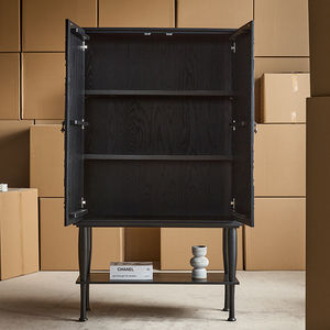 Casier de rangement métallique écologique de haute qualité, grande capacité, design moderne, mobilier pour la maison et le bureau, utilisation en salon, K133 Home Stor - Product Image 4