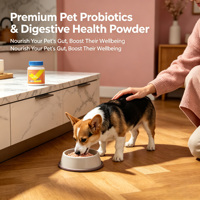 Mélange de poudre probiotique et prébiotique à base de plantes pour réparer la muqueuse intestinale, pour toutes les races d'animaux