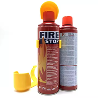 Extincteur à mousse d'incendie durable facile à utiliser 500ml 1000ml Fabricant d'arrêt d'incendie de voiture