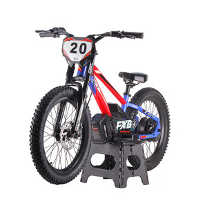 Vélo électrique pour enfants 2025, vélo électrique 800W 36V 10.0AH 20 pouces, style FXB, mini vélo électrique pour enfants, vélo électrique à équilibrage - Product Image 3