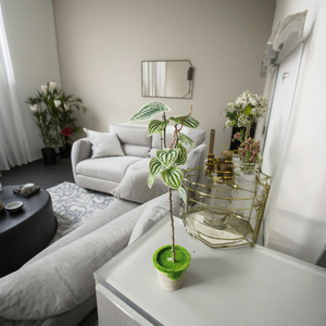 Plantes artificielles vertes, feuillage, vigne, feuilles de vigne, feuilles de <span class=keywords><strong>patate</strong></span> <span class=keywords><strong>douce</strong></span> et branches de bonsaï réalistes pour la décoration intérieure - Product Image 5