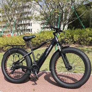 1000 watt sepeda listrik Serbaguna 