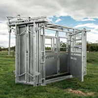 Vente en gros usine : Étrangleur de bétail 8 portes avec fixation de tête et maintien de corps pour petites exploitations individuelles