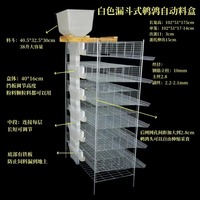 Cage d'élevage surélevée pour cailles et perdrix, avec système de nettoyage automatique du fumier, pour élevages avicoles