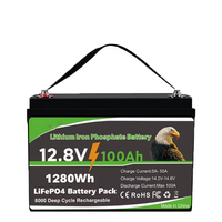 Batterie LiFePO4 rechargeable 12,8V 25,6V 100Ah 150Ah 200Ah avec poignée pour stockage solaire et VR, 8000 cycles