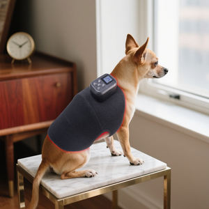 IDEARED Profesional Pdt Máquina de Terapia de Luz Led Almohadilla de Terapia de Luz Roja Sauna Terapia de Luz Infrarroja Terapia de Luz Roja Rodilla - Product Image 3