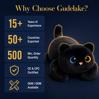Peluche chat noir lestée avec logo personnalisé, coussin sensoriel apaisant, compresse chaude/froide, cadeaux mignons, vente en gros, OEM, ODM, usine, 5 lbs