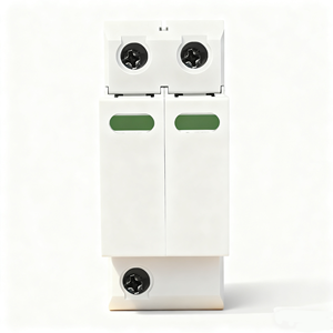 OEM Customizable DC SPD 500V-1000V T2 2P 40KA Surge Protection Devices with Color Logo for <strong>Lightning</strong> Protection - Product Image 1