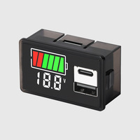 Voltmètre de batterie de voiture USB Type-C DC8-100V 4829, indicateur de niveau de charge, testeur de capacité de batterie au lithium, affichage LED