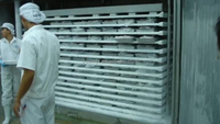 Congélateur horizontal industriel à plaques en acier inoxydable 304, machine de congélation par contact hydraulique pour blocs de fruits de mer et de poisson, congélation rapide