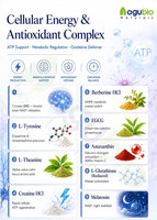 Polysorbate 40 de haute pureté au meilleur prix de gros, CAS 9005-66-7, émulsifiant de qualité cosmétique, Tween-40, Polysorbate 40 liquide
