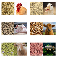 Machine de granulation d'aliments pour animaux multifonction à prix abordable, extrudeuse de volaille, granulateur d'aliments pour poissons