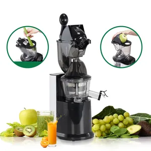 Groothandel High-End 250W Mini Slow Juicer Houden De Voeding Van De Fruit-En Groentesapextractor