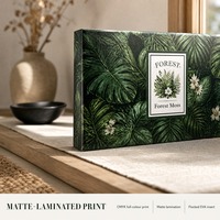 Coffret Cadeau de Bougies Parfumées Personnalisées avec Bouteille de Diffuseur à Bâtonnets, Pot à Bougie en Verre Dépoli avec Couvercle, Emballage en Gros OEM