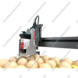 Vinica XY110 technology golden supplier TIJ eggs date inkjet printer Logo printing on eggs surface