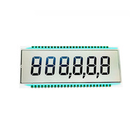 Modul LCD TN Positif 5 Monokrom Kustom dengan Segmen Statis dan Rentang Suhu Luas