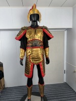 Costume d'armure de général chinois antique rouge et or, portable, en PVC, pour adulte unisexe, avec casque à plumes rouges, accessoire de déguisement