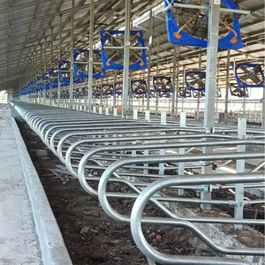 Nuevas Soluciones Eficientes para la Gestión de Ganado con Certificación CE, Establos para Ganado Lechero, Corrales Galvanizados para Vacas - Product Image 1