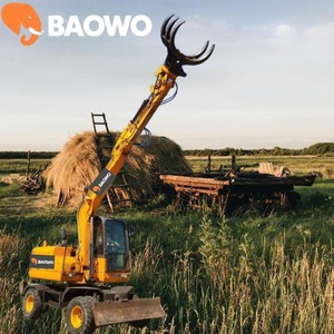 Grúa de Agarre Baowo con Capacidad de Elevación de 4 Toneladas para Manejo de Materiales en Obras de Construcción - Product Image 2