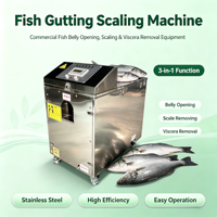 Machine automatique d'écaillage et d'abattage des poissons, machine à écailler les poissons, machine à nettoyer et à éviscérer les poissons