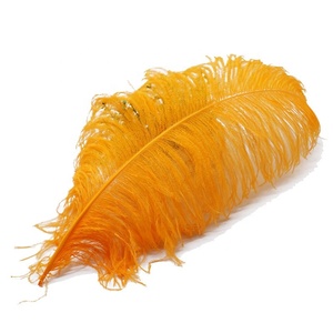 40-45 cm <span class=keywords><strong>Plumes</strong></span> d'autruche <span class=keywords><strong>Plumes</strong></span> d'autruche noires Décoration bon marché <span class=keywords><strong>Plumes</strong></span> d'autruche <span class=keywords><strong>blanches</strong></span> blanchies - Product Image 5