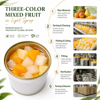 Bulk ingeblikte gemengde fruitcocktail gele perzik peer ananas in lichte siroop, groothandel leverancier voor foodservice