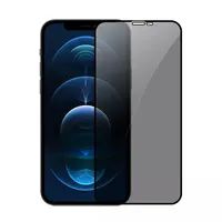 Protection d'Écran Anti-Espion en Verre Trempé à Colle Intégrale pour iPhone 16 15 14 Pro Max 13 12 11 Xs Xr 7 8 Plus