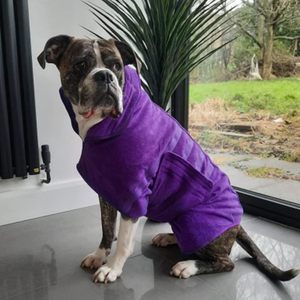 Pet Dog And Cat Microfiber Bathrobe Full Coverage <b>Quick</b> <b>Drying</b> Soft Thick <b>Towel</b> For Grooming - Product Image 2