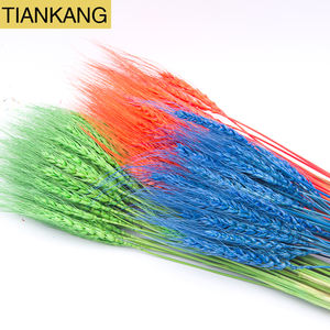 <span class=keywords><strong>Fiore</strong></span> <span class=keywords><strong>di</strong></span> frumento <span class=keywords><strong>Paglia</strong></span> <span class=keywords><strong>di</strong></span> Grano Naturale <span class=keywords><strong>di</strong></span> Fiori Secchi Multi-colored - Product Image 5