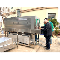 Laveuse de plateaux et de palettes en plastique à sources de chauffage multiples (vapeur, gaz, électrique) pour la désinfection