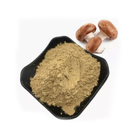 Poudre d'extrait de champignon à base de plantes de haute qualité de marque privée-Biologique-Crinière de lions, Reishi, Cordyceps, Chaga, Queue de dinde