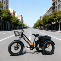 Tricycle électrique à pneus larges EZREAL BAFANG 750W, vélo électrique à 3 roues 48V, tricycle électrique à 3 roues stable pour la livraison et les utilités