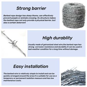 Produk pertanian USA untuk bidang tanaman kuda ternak kawat berduri galvanis <span class=keywords><strong>2</strong></span> titik kawat ganda kawat berduri terpilin <span class=keywords><strong>2</strong></span>.2mm <span class=keywords><strong>2</strong></span>.<span class=keywords><strong>5mm</strong></span> - Product Image 4