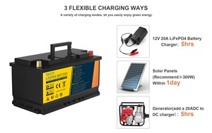 Batterie rechargeable au lithium-ion phosphate LiFePO4 TAICO 12,8 V 200 Ah avec garantie de 3 ans – Produit authentique - Product Image 6