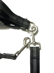 [Hands-Free] <b>Shock</b> Absorbing Nylon <b>Dog</b> Bungee Leash with Adjustable Waist Belt <b>for</b> Hands-Free Running and Hiking - Product Image 4