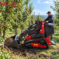 Chargeuse compacte sur chenilles SHANLI L249, hauteur de levage 2000 mm, garantie 1 an, engrenage haute efficacité pour la construction et l'agriculture