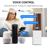 Interrupteur intelligent WiFi Matter US 1/2/3/4 voies, application Tuya Smart Life, contrôle à distance et vocal, compatible avec Apple HomeKit, Alexa, Google Home